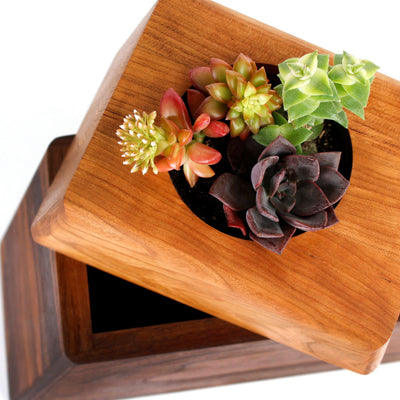 The Living Urn Planter - Lotus
