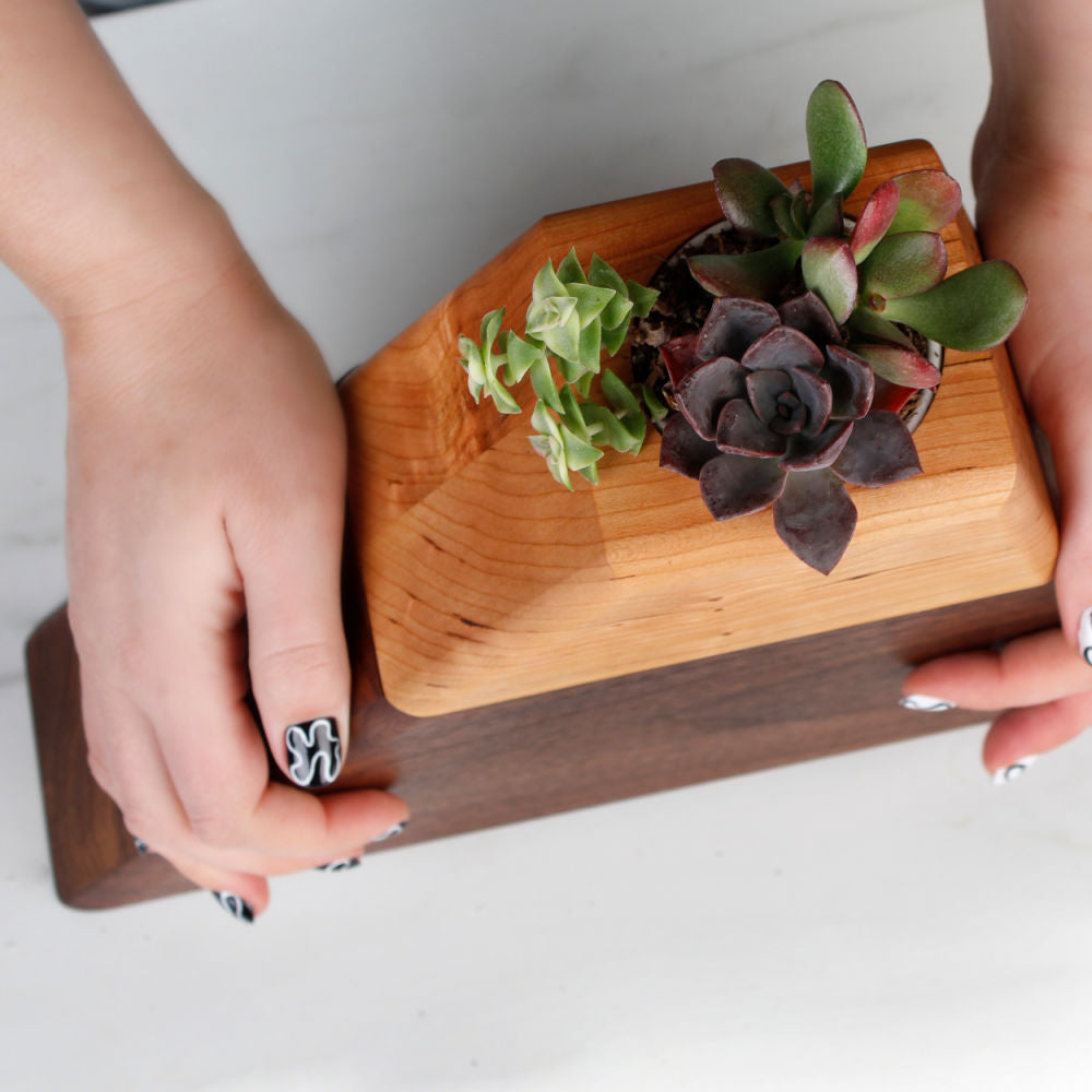 The Living Urn Planter - Lotus