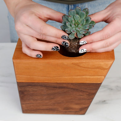 The Living Urn Planter - Lotus