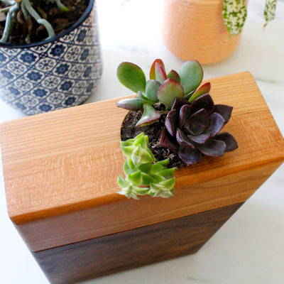 The Living Urn Planter - Lotus