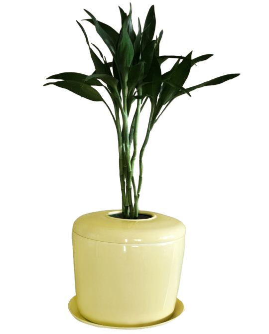 The Living Urn Indoors / Patio - Lotus