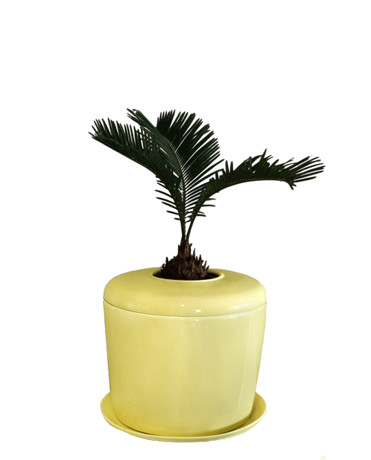 The Living Urn Indoors / Patio - Lotus
