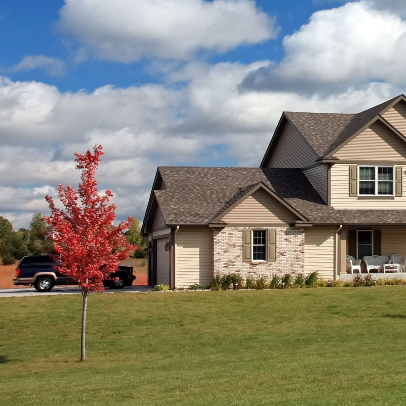 Red Maple - Green Farewells