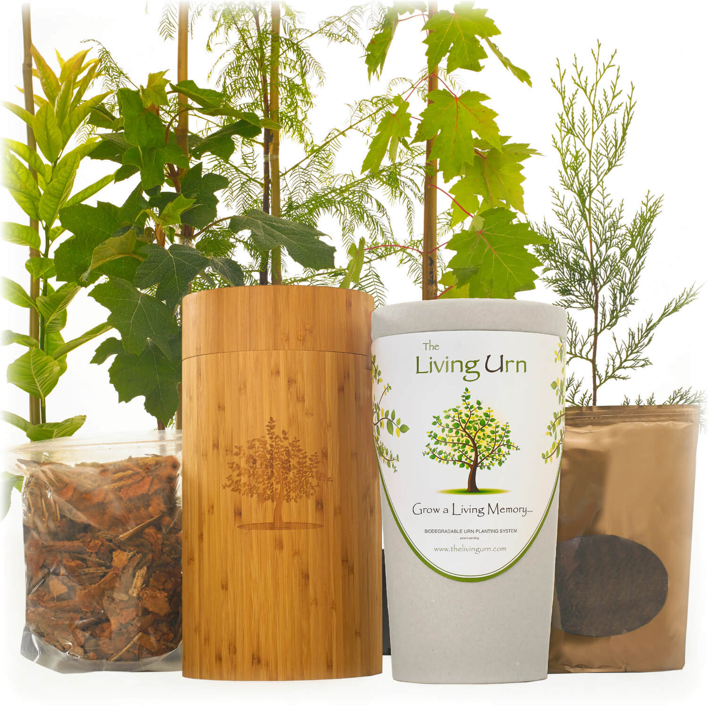 Living Urn System Only (use with your own tree, plant or flowers) - Lotus