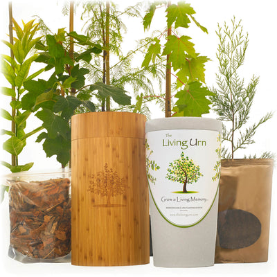 Living Urn System Only (use with your own tree, plant or flowers) - Lotus