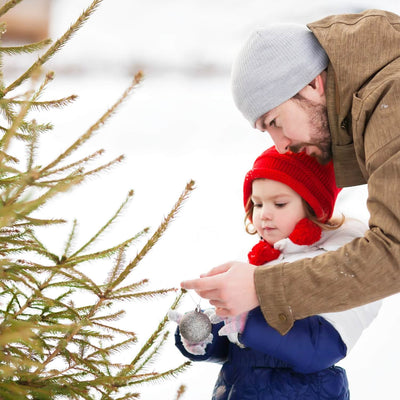 Christmas Tree - Be a Tree Cremation
