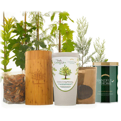 The Irish Living Urn - Teraloom
