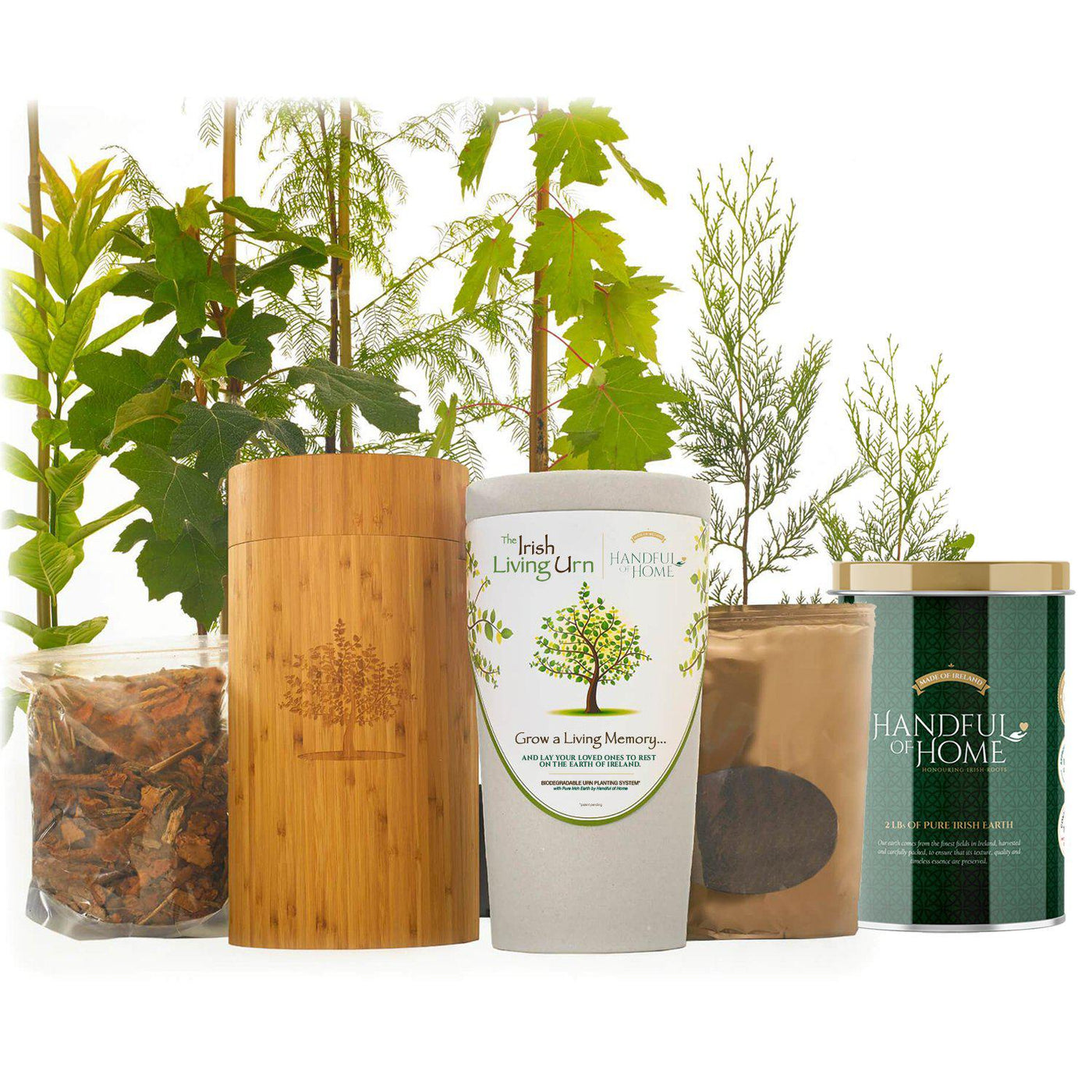 The Irish Living Urn - Blake